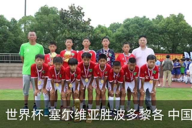 世界杯-塞尔维亚胜波多黎各 中国仍存出线可能