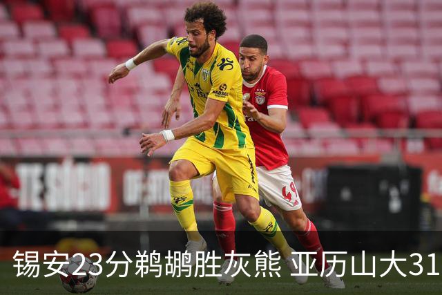 锡安23分鹈鹕胜灰熊 亚历山大31+10雷霆屠公牛